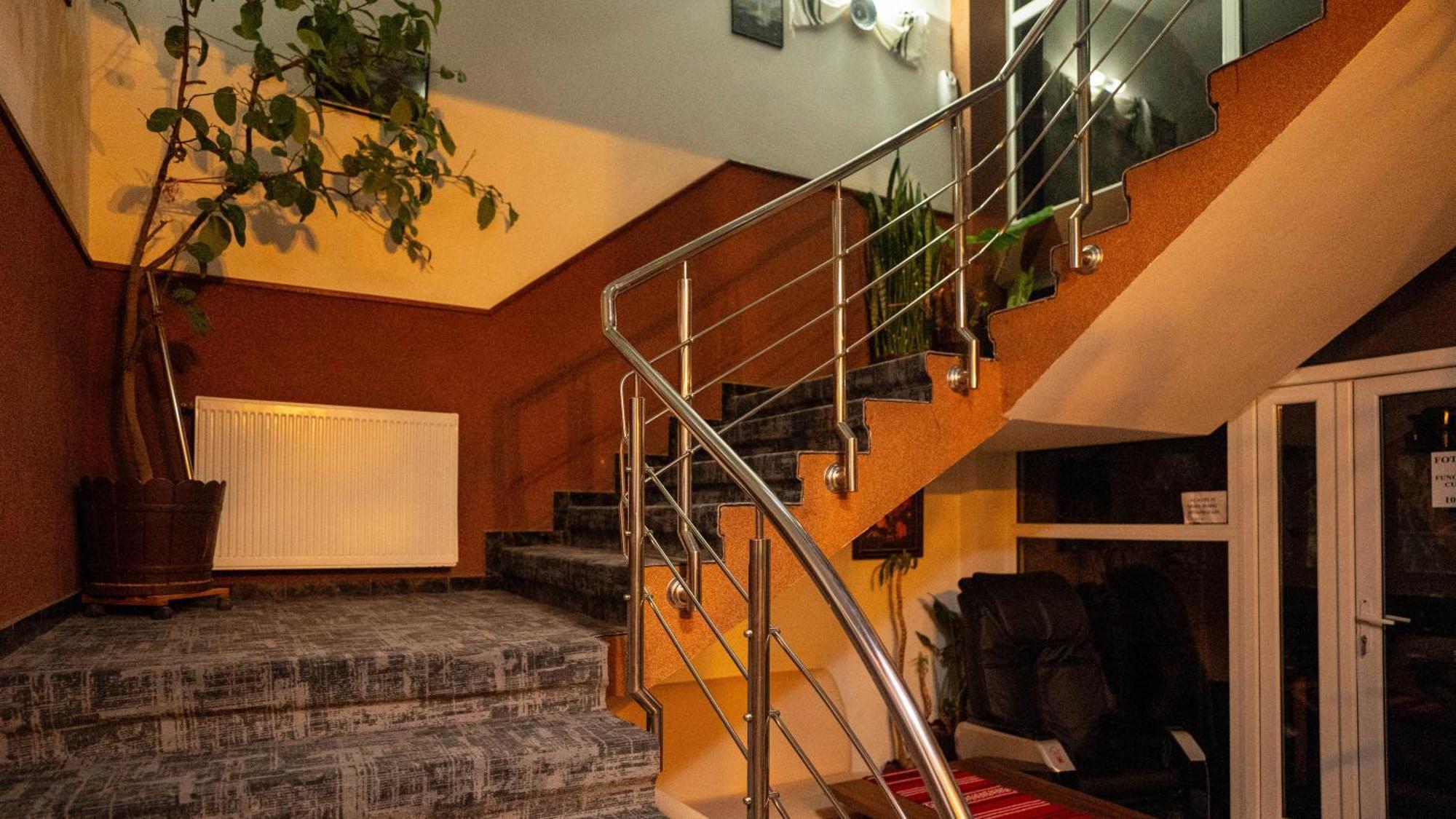 Villa Select Predeal Εξωτερικό φωτογραφία